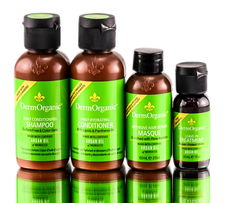 Dermorganic Argan Oil Hair Care - Travel Set