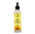 Jane Carter Solution Natural Hold Locking Spray