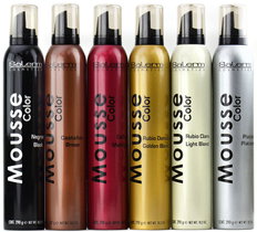 Salerm Color Mousse-image1 Salerm Color Mousse-image1