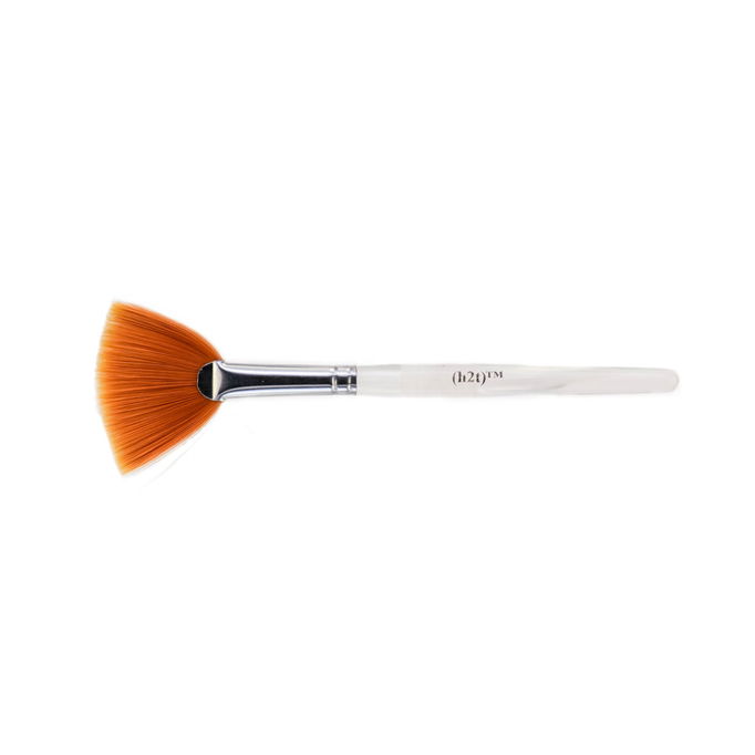H2T Head to Toe Dermastage Aesthetic Fan Brush