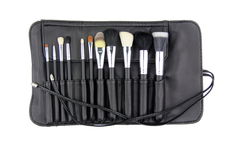 Crown Brush 11 PC Studio Pro Set