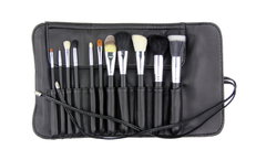 Crown Brush 11 PC Studio Pro Set-image1 Crown Brush 11 PC Studio Pro Set-image1