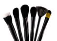 Crown Brush 24pc Professional Set