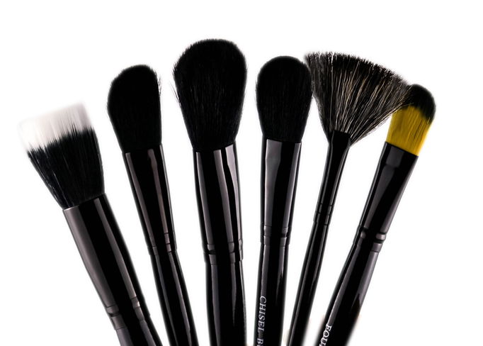 Crown Brush 24pc Professional Set
