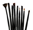 Crown Brush 24pc Professional Set