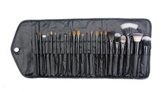 Crown Brush 23pc Professional Set w/ Case