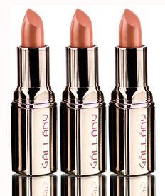 Gallany Semi Matte Lipstick