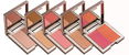 Gallany Duos Cheek & Face