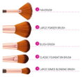 BH Cosmetics Shimmering Bronze Brush Set-image2 BH Cosmetics Shimmering Bronze Brush Set-image2