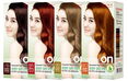 Daeng Gi Meo Ri Naturalon Essential Hair Color