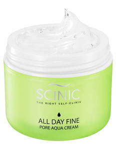 Scinic All Day Fine Pore Aqua Cream