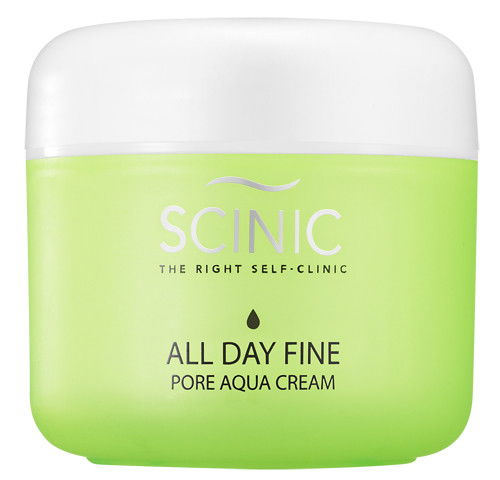 Scinic All Day Fine Pore Aqua Cream