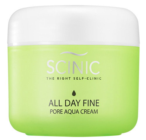 Scinic All Day Fine Pore Aqua Cream-image2