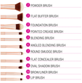 BH Cosmetics Metal Rose Brush Set