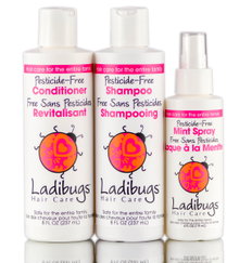Ladibugs 3-Pieces Lice Prevention Kit-image1 Ladibugs 3-Pieces Lice Prevention Kit-image1