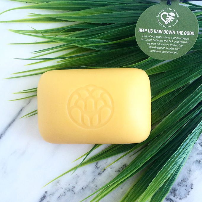 Teadora Nourishing Beauty Bar