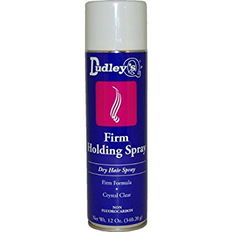 Dudley's Firm Holding Spray