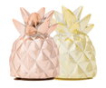 Upper Canada Pineapple Lip Gloss-image1 Upper Canada Pineapple Lip Gloss-image1