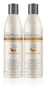 Iden Bee Propolis Repair Therapy Kit