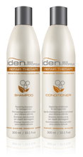Iden Bee Propolis Repair Therapy Kit-image1 Iden Bee Propolis Repair Therapy Kit-image1