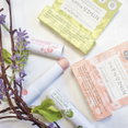 Whamisa Organic Lip Moisture - Fruits-image1