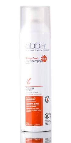 Abba Always Fresh Dry Shampoo
