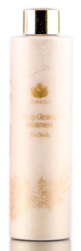Shankara Deep Cleanse Treatment-image1