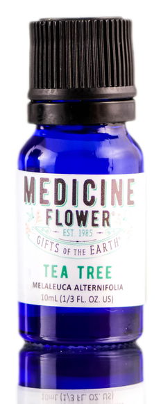 Medicine Flower Tea Tree Essential Oil Medicine Flower Tea Tree Essential Oil