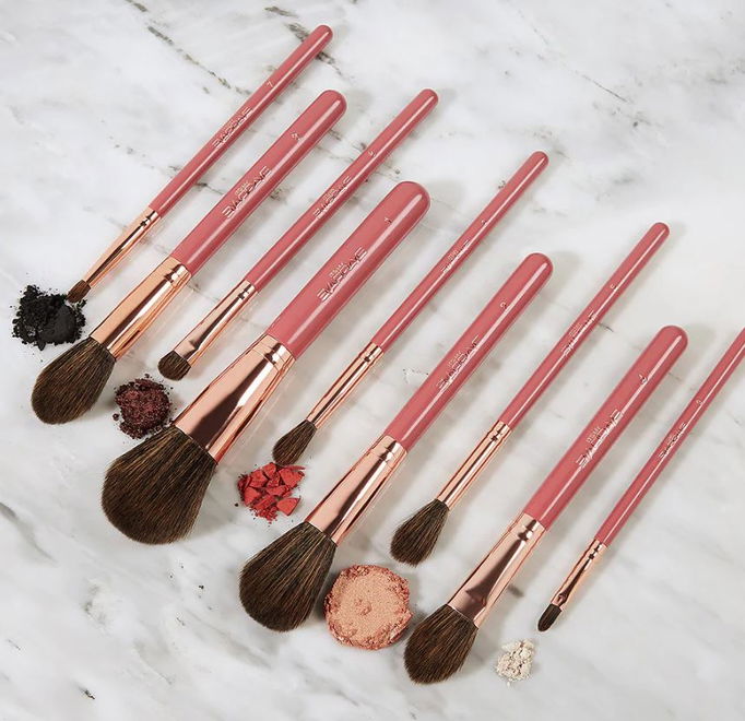 BH Cosmetics ItsMyRayeRaye Brush Set