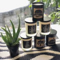 Hip & Chick Organiks Sweet Sandalwood Soy Candle-image4