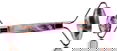 Biodara Amethyst Massage Face Roller
