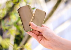Diamond Way Ayurveda Body Kansa Gua Sha