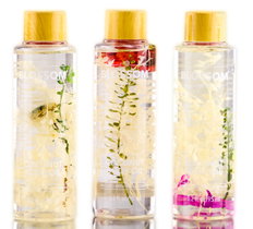Blossom Spa Coconut Body Oil-image1 Blossom Spa Coconut Body Oil-image1