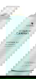 Alterna My Hair My Canvas Another Day Dry Shampoo