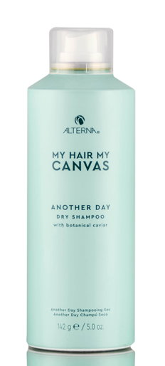 Alterna My Hair My Canvas Another Day Dry Shampoo-image1 Alterna My Hair My Canvas Another Day Dry Shampoo-image1