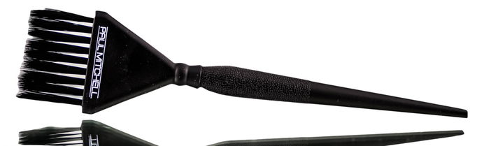 Paul Mitchell Coloring Brush