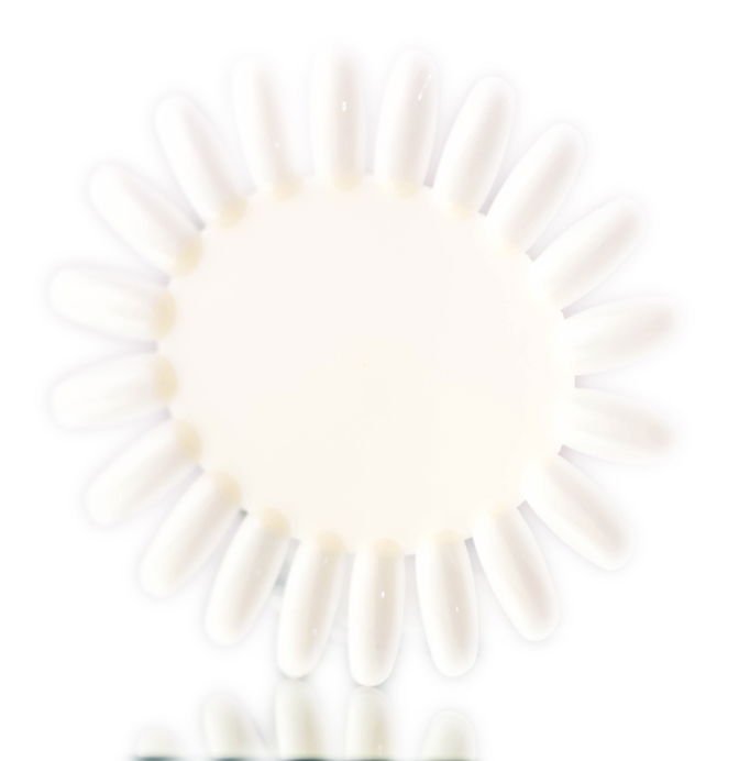 SKS Nail Polish Color Chart Flower