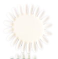 SKS Nail Polish Color Chart Flower-image1 SKS Nail Polish Color Chart Flower-image1