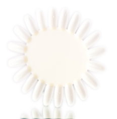 SKS Nail Polish Color Chart Flower-image1 SKS Nail Polish Color Chart Flower-image1