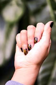 DND DC Cat Eyes Magnetic Polish Collection