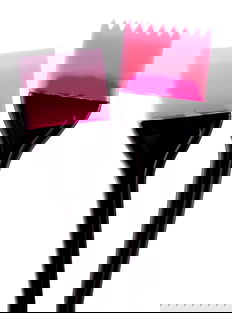 Diane 2" Silicone Color Brush