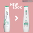 Matrix Biolage Anti-Dandruff Scalp Sync Shampoo-image2