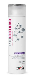 Itely Hairfashion Procolorist Silver Shampoo-image1