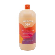 Inebrya Color Perfect Shampoo-image1
