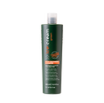 Inebrya Ice Cream Green Post-Treatment Shampoo 