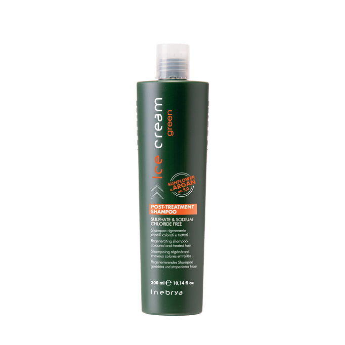Inebrya Ice Cream Green Post-Treatment Shampoo 