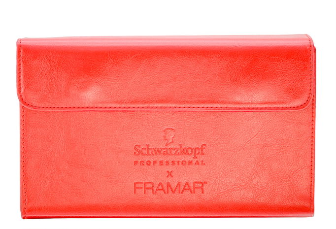 Schwarzkopf Igora X Framar Jet Set Brush Set