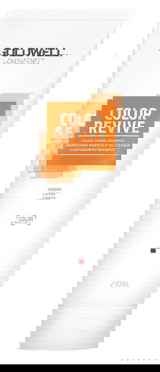 Goldwell Dualsenses Color Revive Shampoo (8.45 oz)