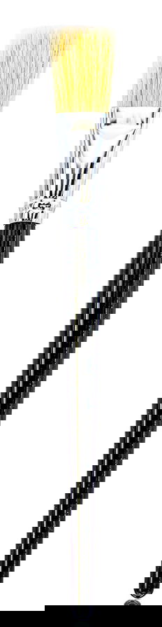 Pennello SDL 2018 Brush