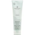 Paul Mitchell Awapuhi Wild Ginger Repair Nourishing Shampoo
